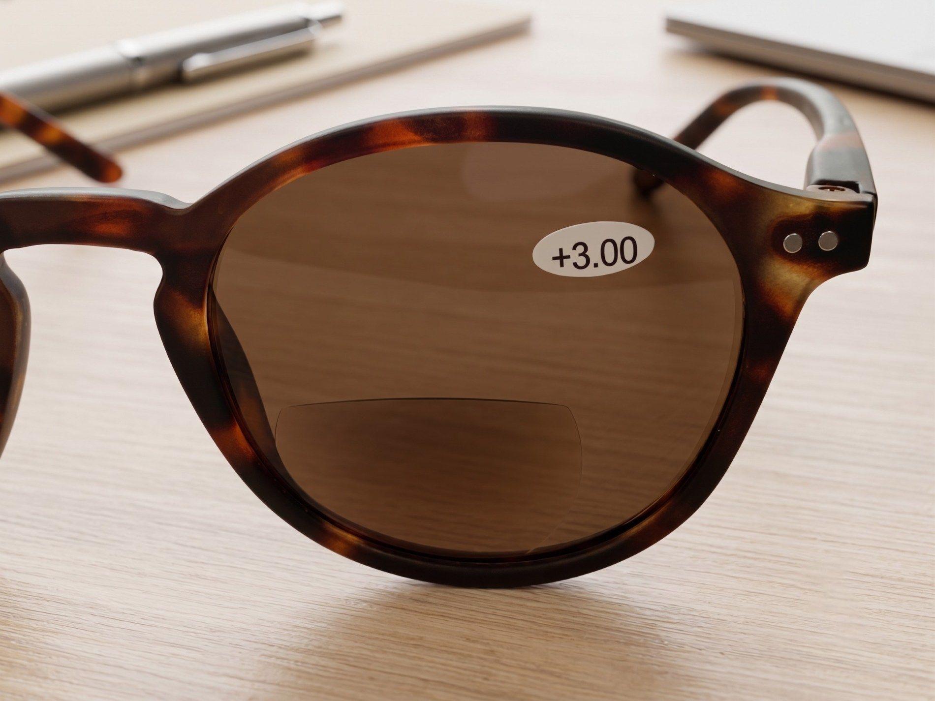 Lentes De Sol Bifocales Hombre Mujer Anteojos Lectura Presbicia Gafa-5