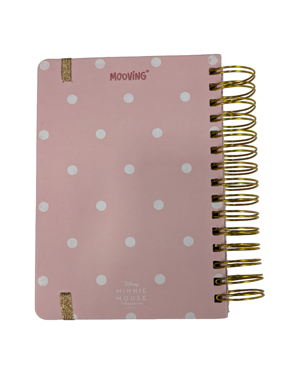 AGENDA 2025 MINNIE MOUSE MOOVING-1