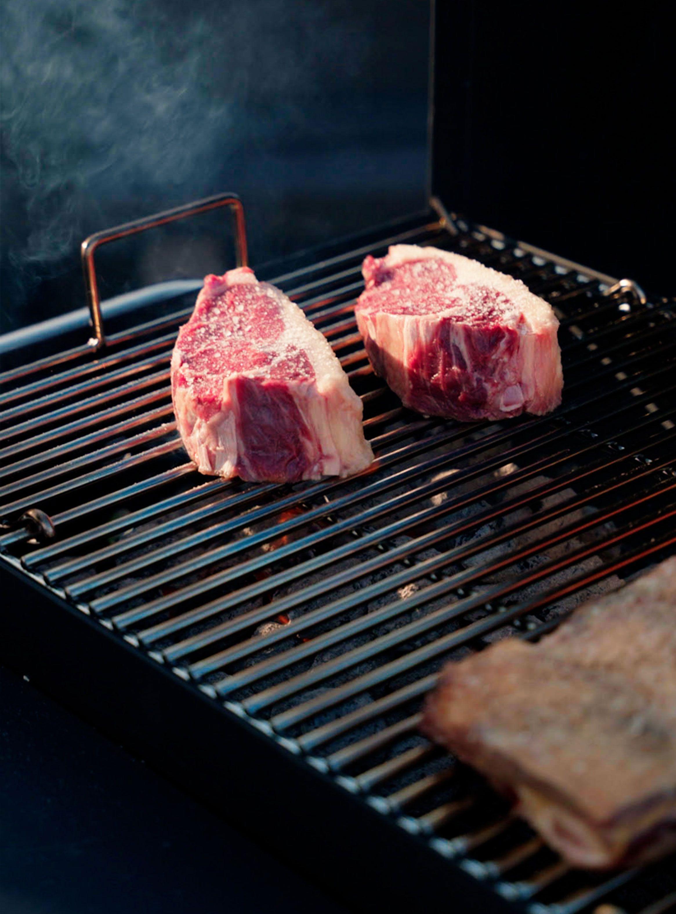 Parrilla a Carbon y Ahumador Austin Classic Profesor Klocker-7