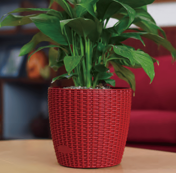 Macetero Autorregante Cozy 26cm Rojo-1