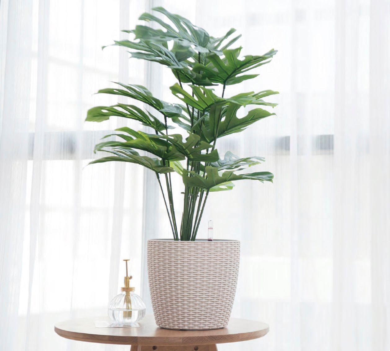 Macetero Autorregante Cozy 20cm Blanco-1