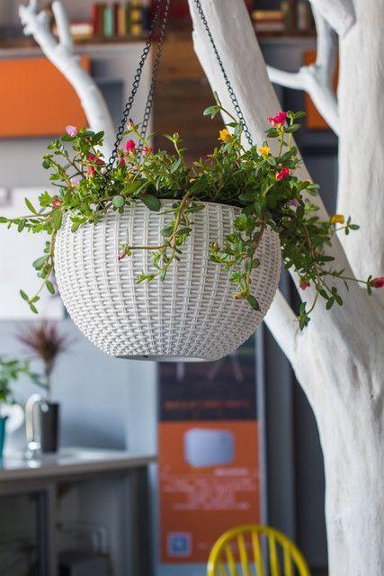 Macetero Autorregante Urban Jungle  Arena-2