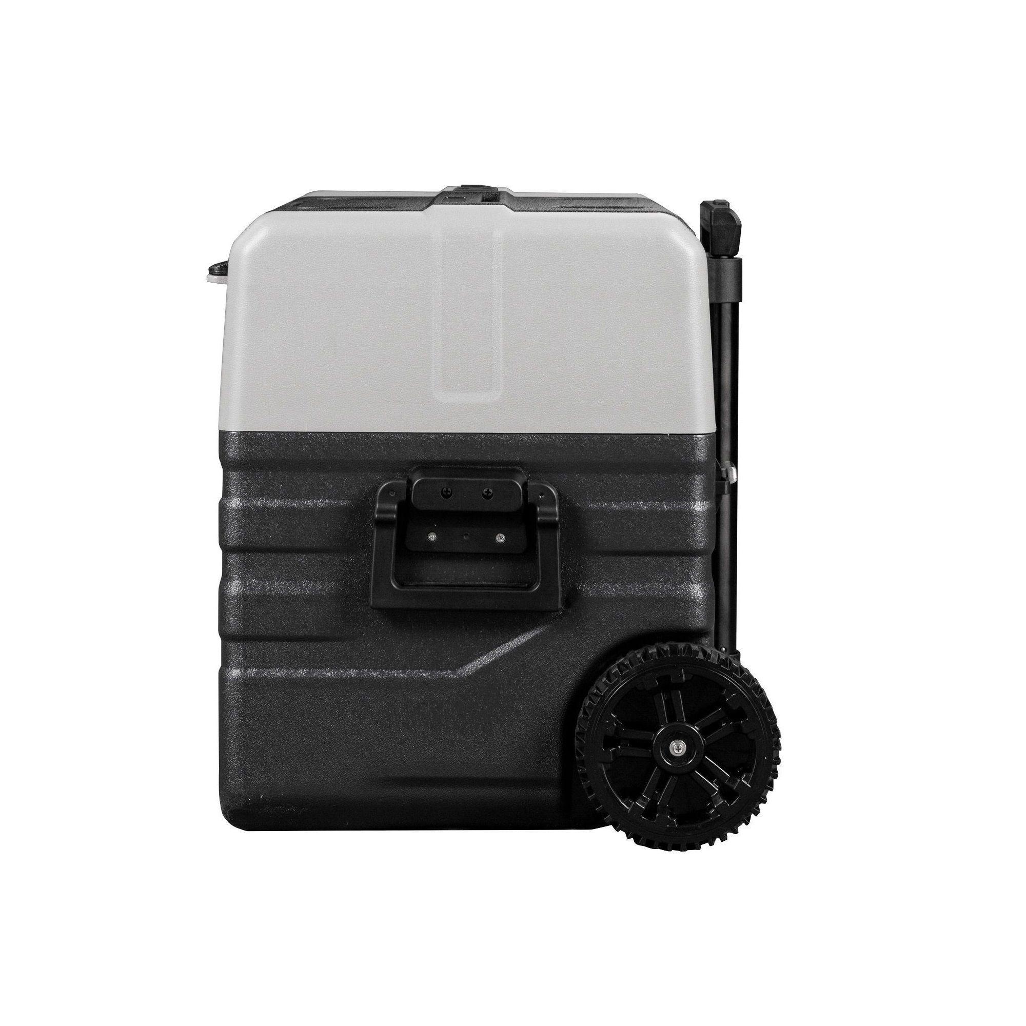 REFRIGERADOR ALPICOOL NX42-3