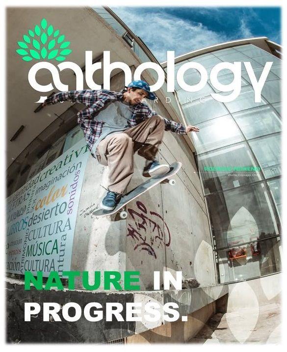 Zapatilla Hombre Urbana-Skate Cuero Blue Anthology-2