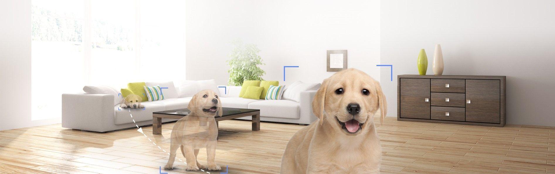 Ezviz Cámara Wifi Interior Paneo E Inclinación 1080p (c6n)-3
