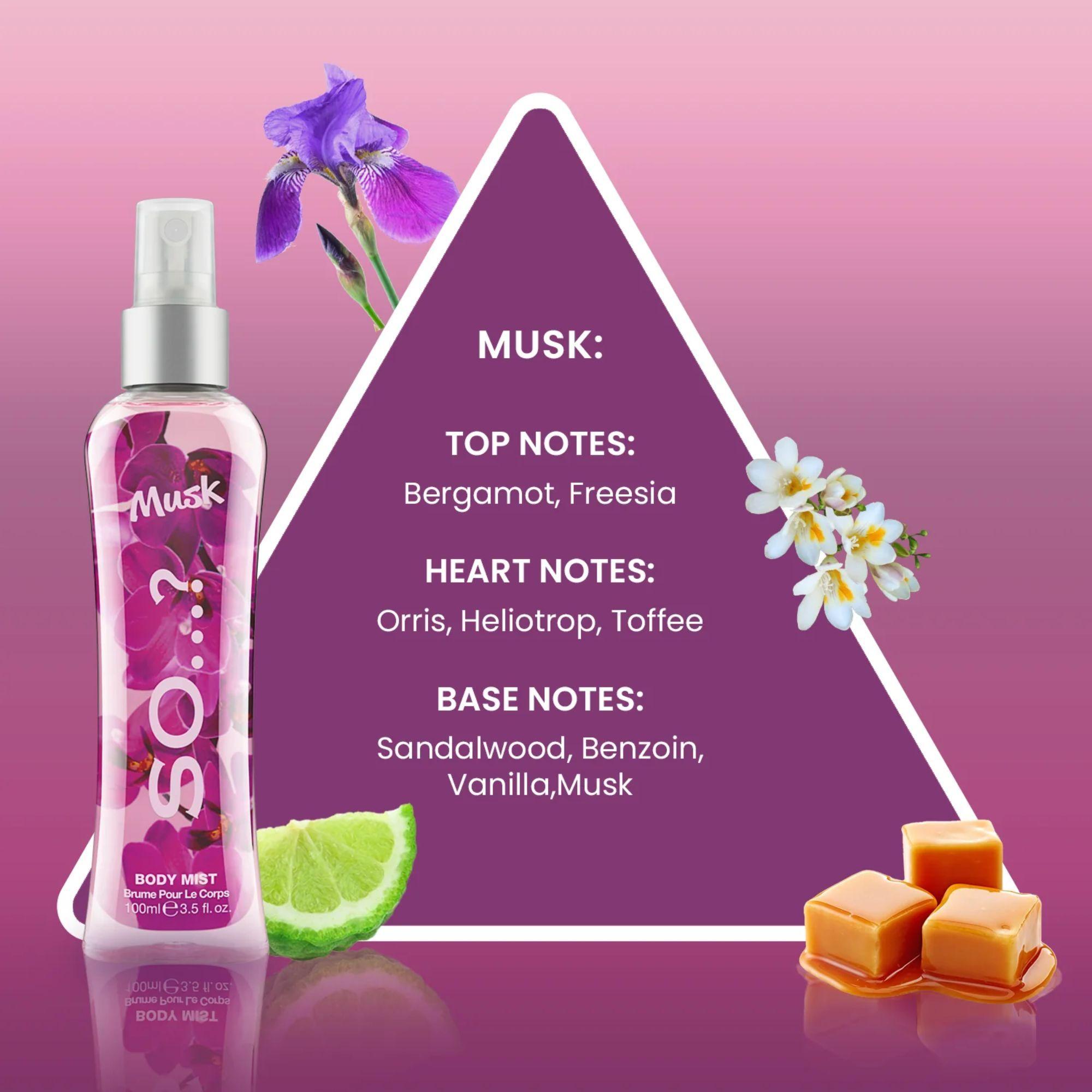 Body Mist Musk 100ml - So-1