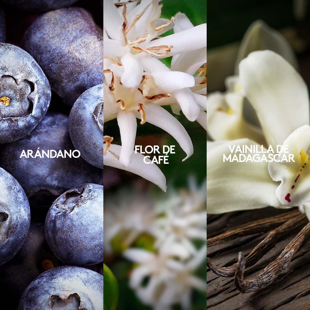 Perfume Vibranza Locion Hidratante Corporal set para mujer-3