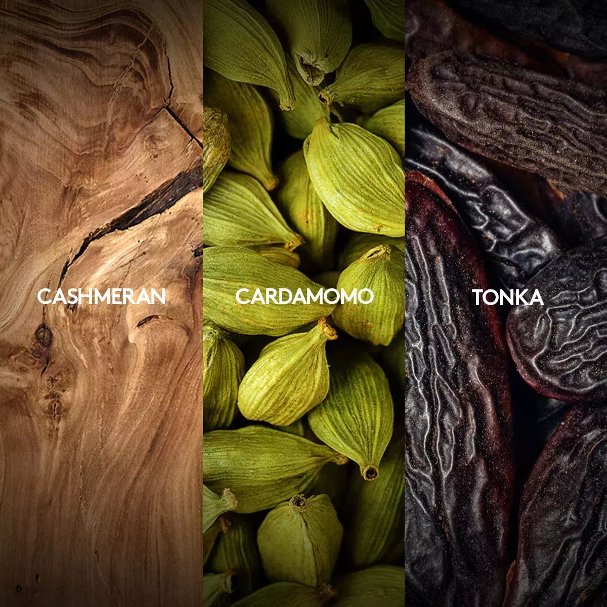 Leyenda Perfume Masculino-3