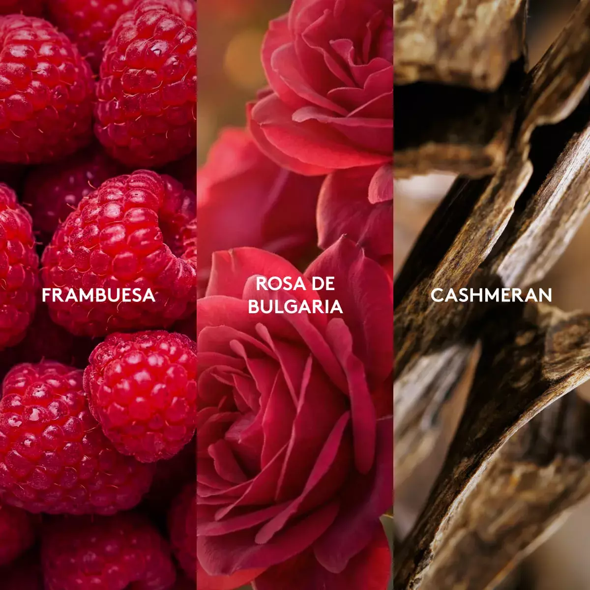 Eternally for her perfume mujer 50 ml-2