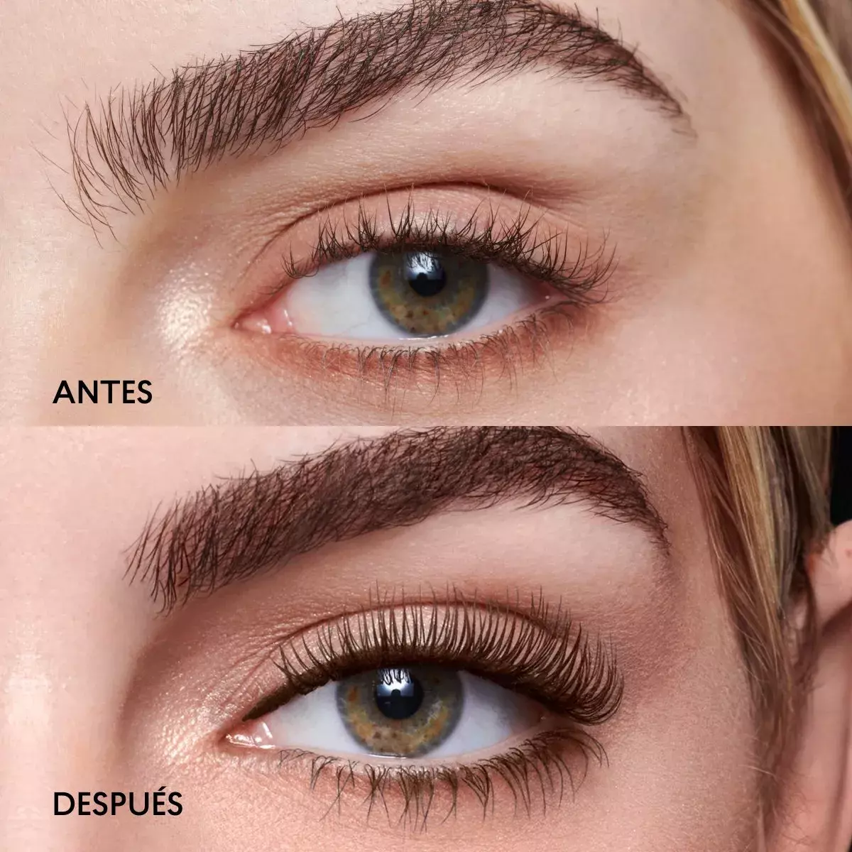 Mascara De Pestañas Magnetic Lash Studio Look Color Brown-5