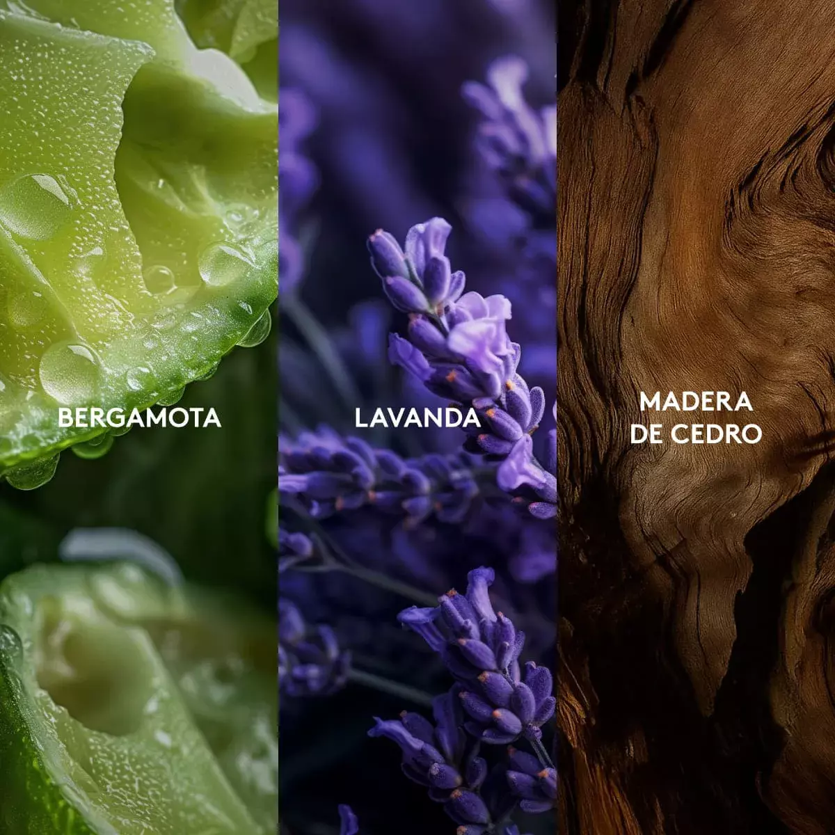 Eternally for him perfume masculino 100 ml-3