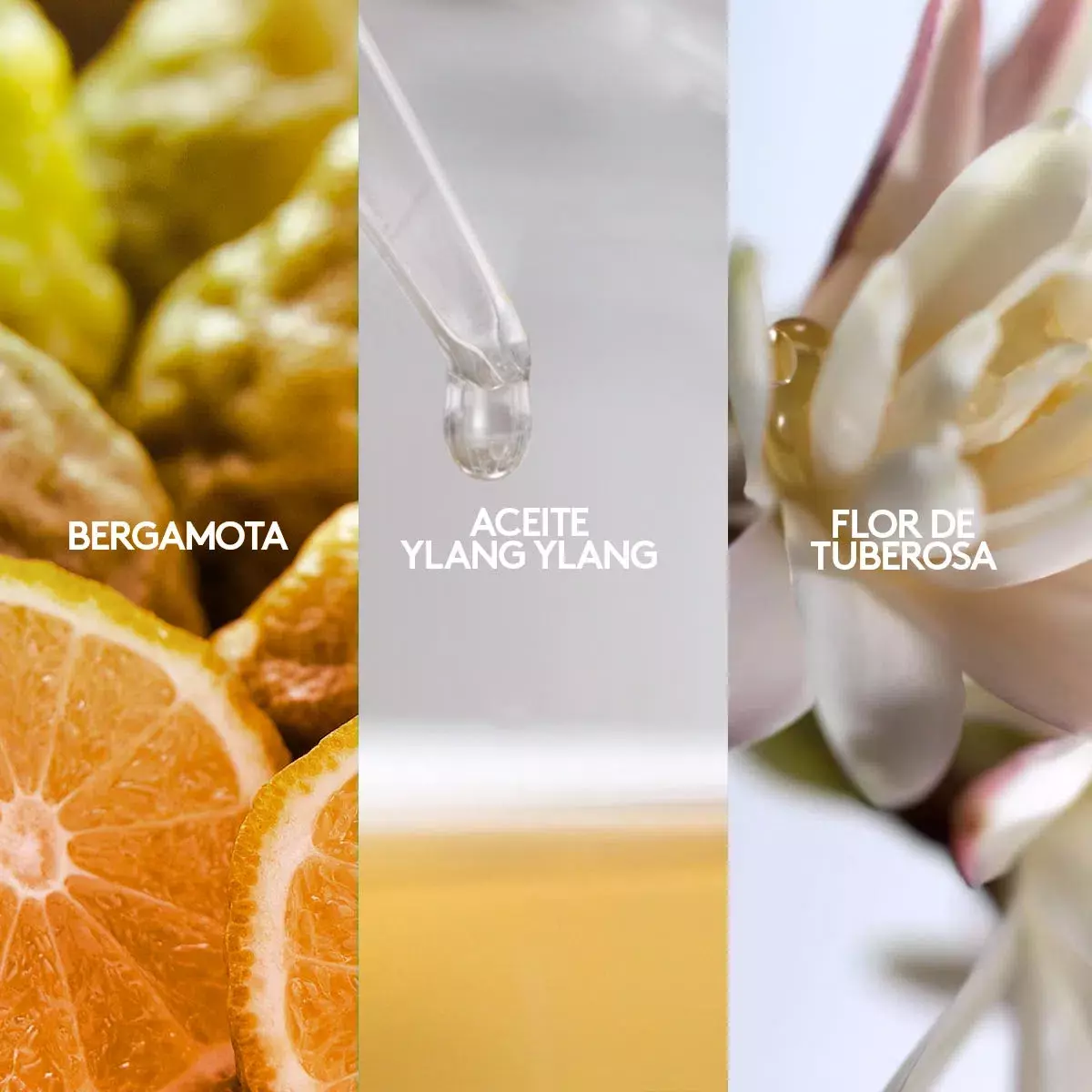 Perfumes de Mujer Vibranza Vibranza Blanc 45 ml-6