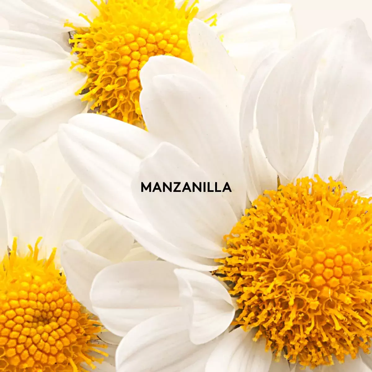 Colonia Para Bebe Agu de Manzanilla 1 litro-2
