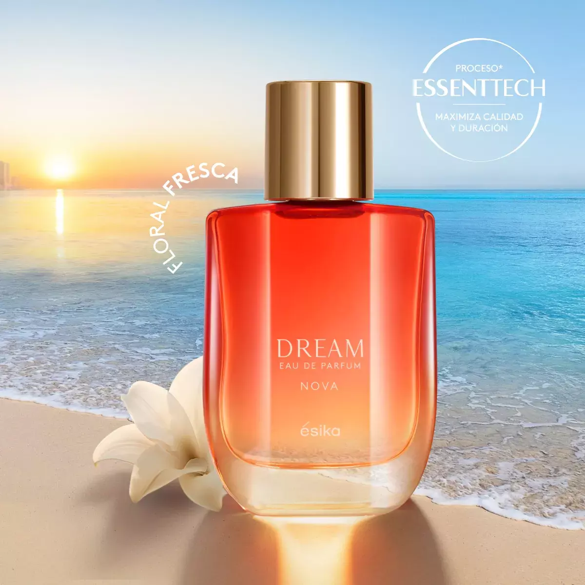 Dream nova perfume mujer-2