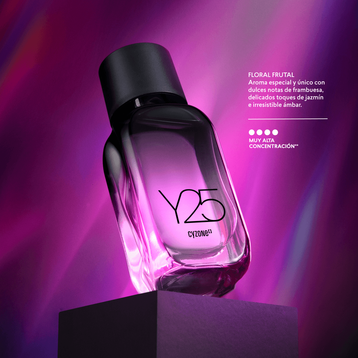 Y25 perfume mejer-2