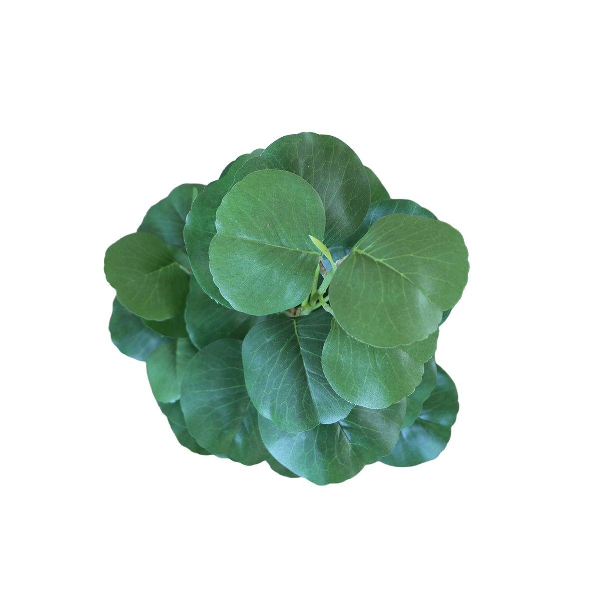 Árbol Eucalipto con Macetero 91 cm de Altura-2