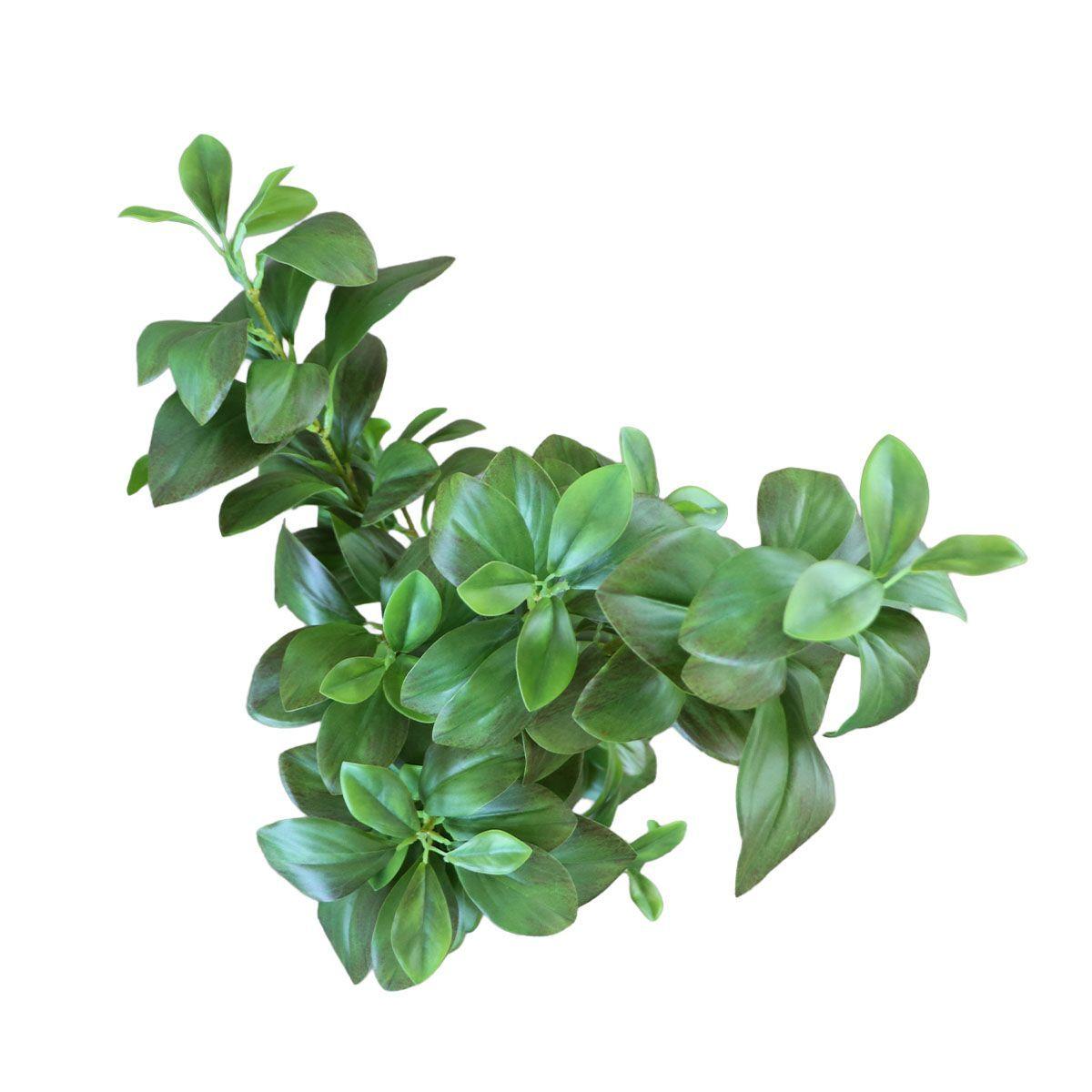 Árbol Watercress Hoja de Berro con Macetero 91 cm de Altura-2