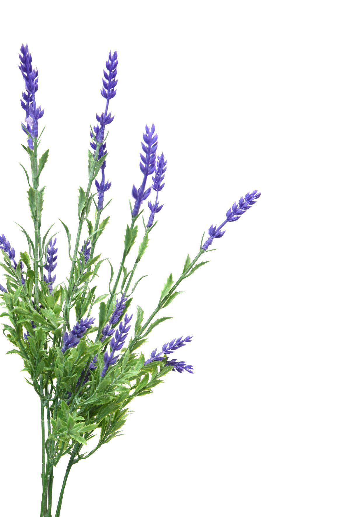 Lavanda artificial A 35 cm-3