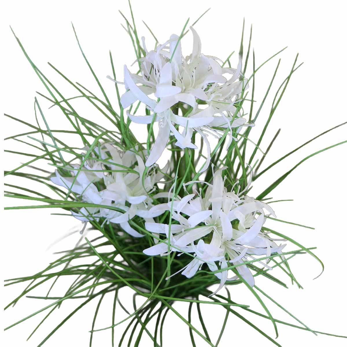 Grass Lily Flor de Lirio con Macetero 70 cm de Altura-3