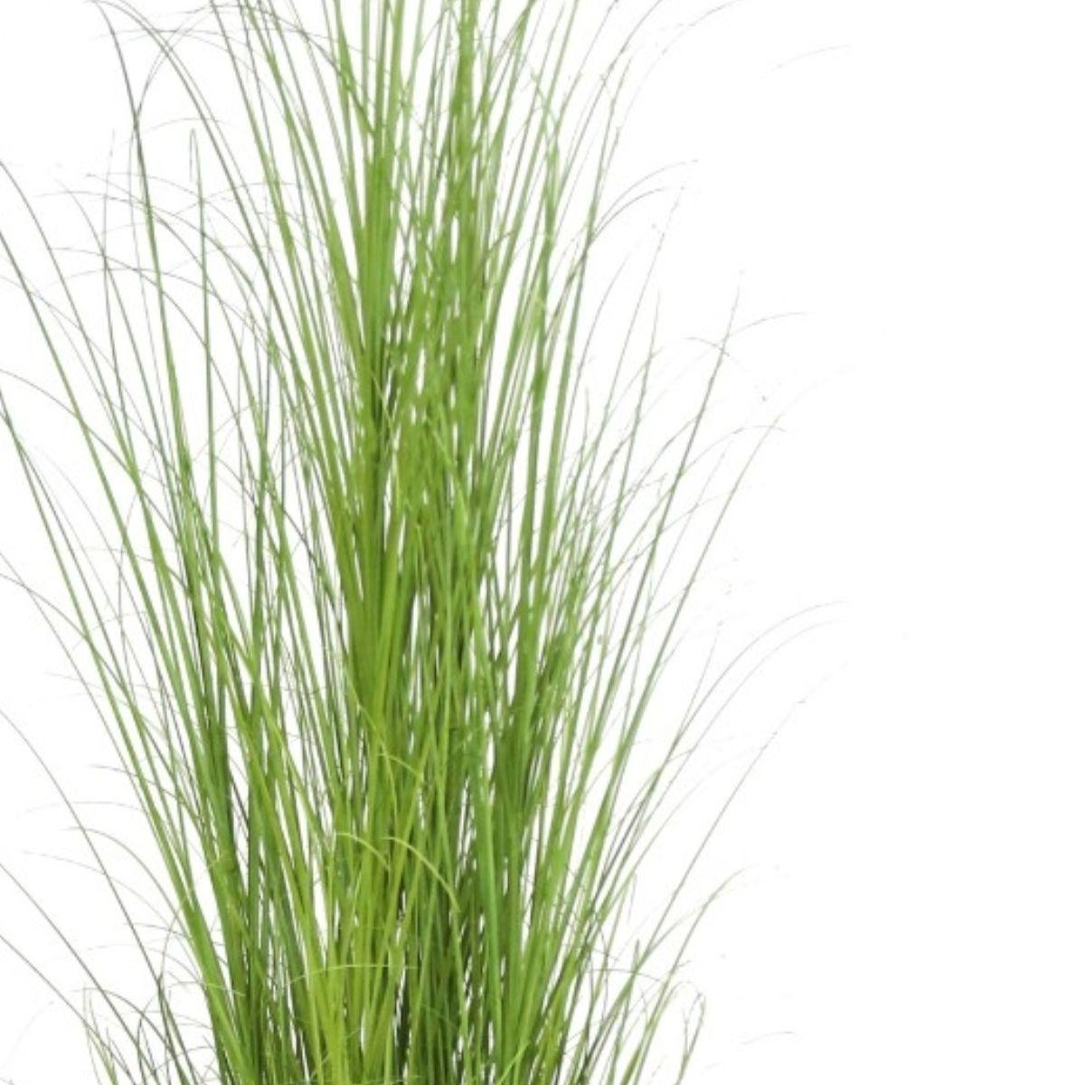 Grass alto chascón 180 cm-2