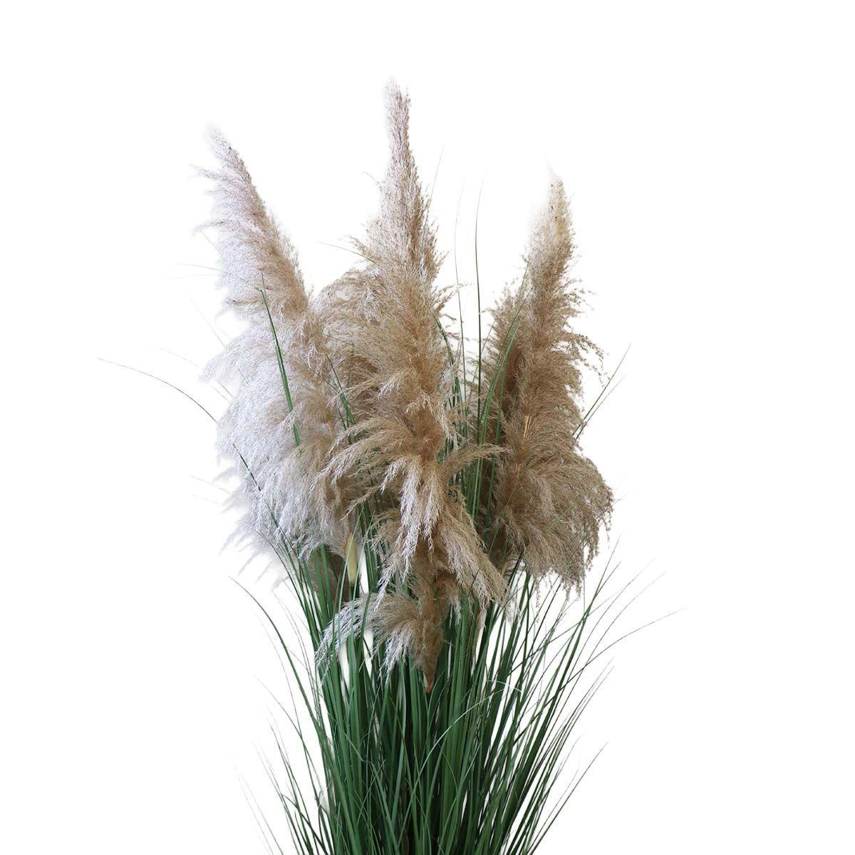 Grass Dried Cola de Zorro con Macetero 170 cm de Altura-2