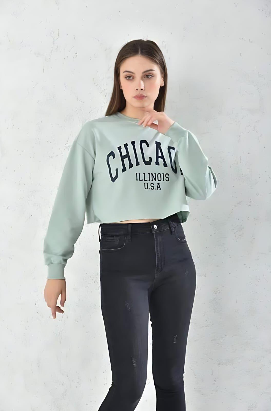 Poleron Mujer Verde Pastel Talla S-3