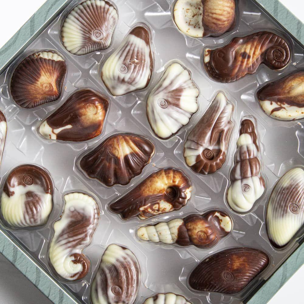 Bombones de Chocolate Belga Sea Shell Guylian 250 grs-2