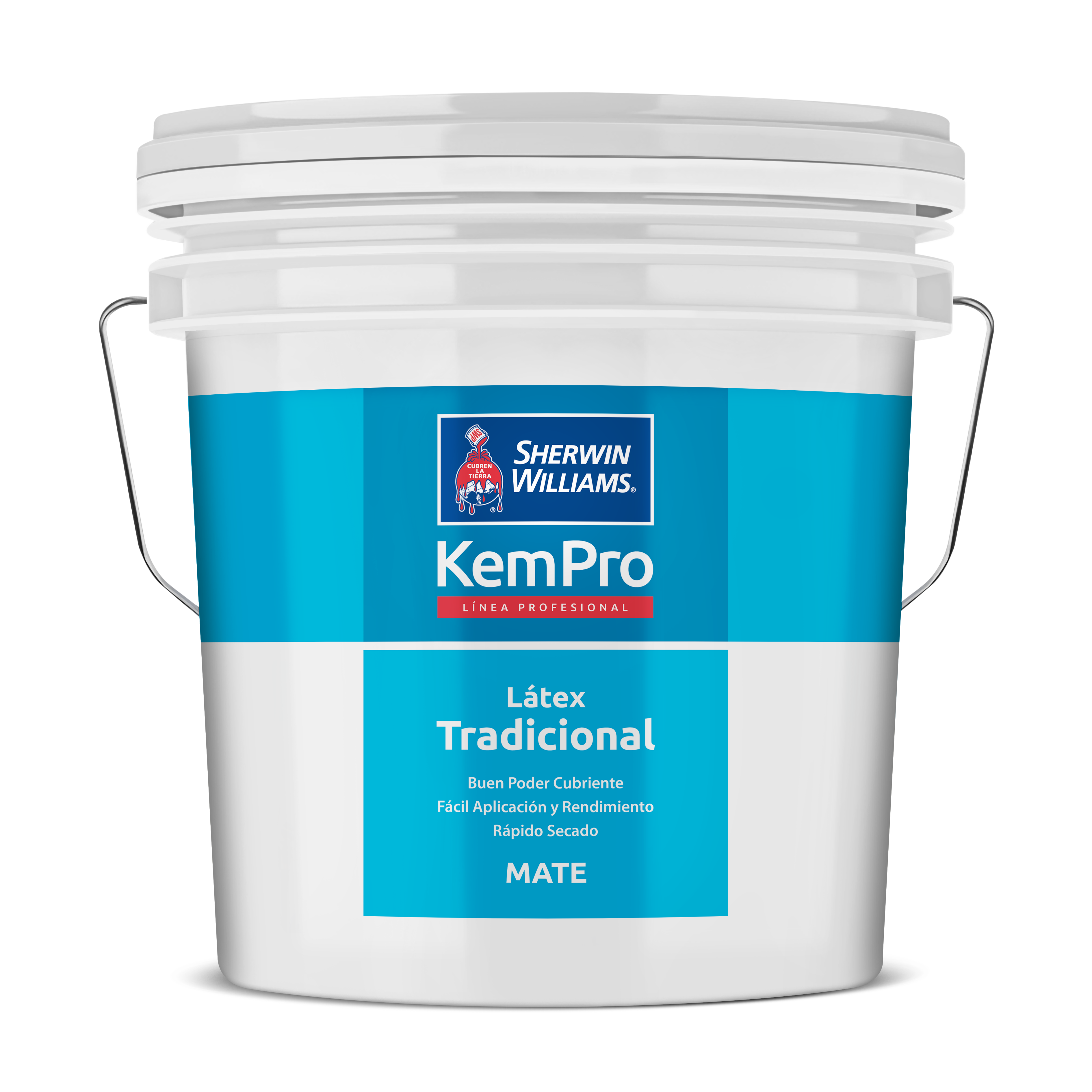 Pintura Latex Blanco Sherwin Williams Tineta-0