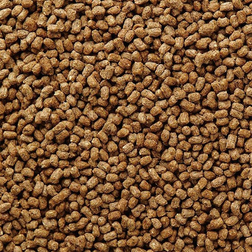 Mazuri Alimento Dragon Barbudo 200 gr-2