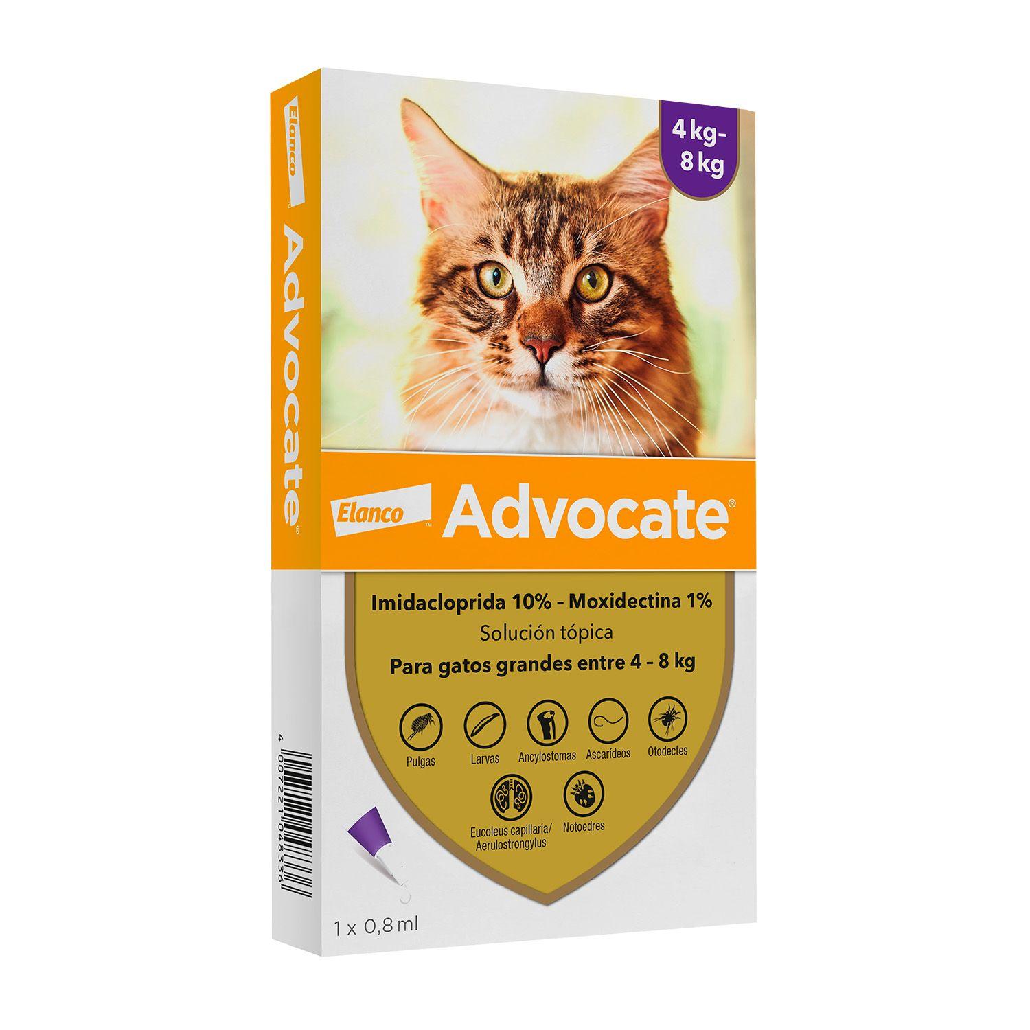 Anti-parasitario Gato Advocate Pipeta 4-8kg-0