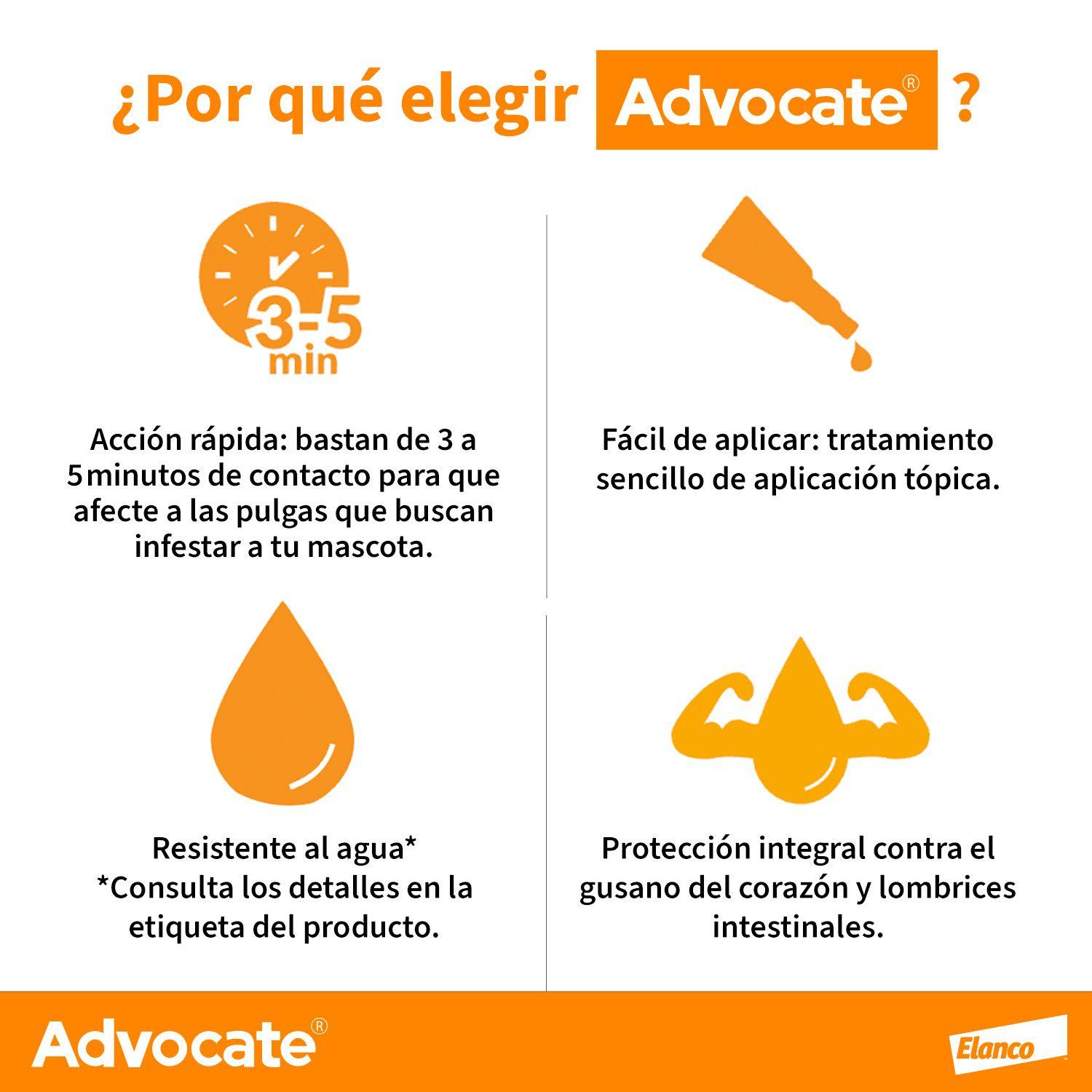 Anti-parasitario Gato Advocate Pipeta 4-8kg-2