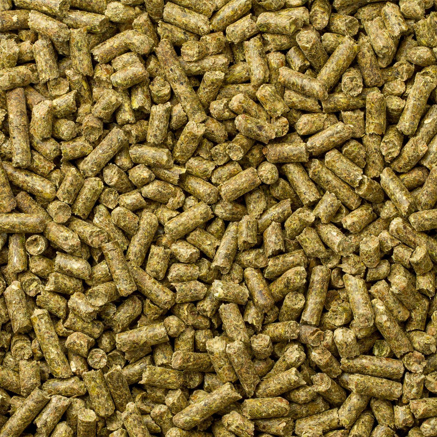 Mazuri Alimento Chinchilla 1.13 Kg-2