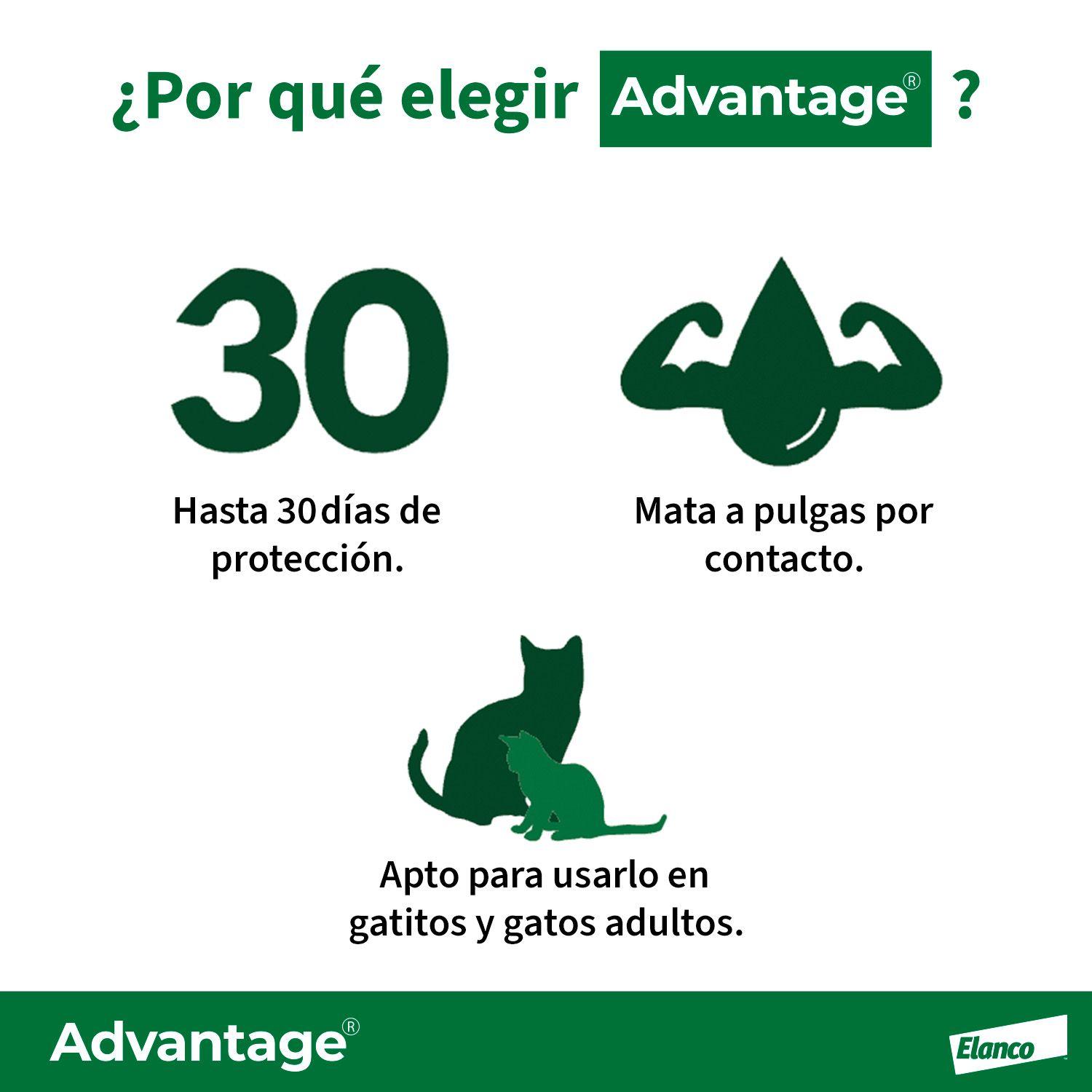 Anti-parasitario Gatos Advantage Hasta 4kg (0.4ml)-2