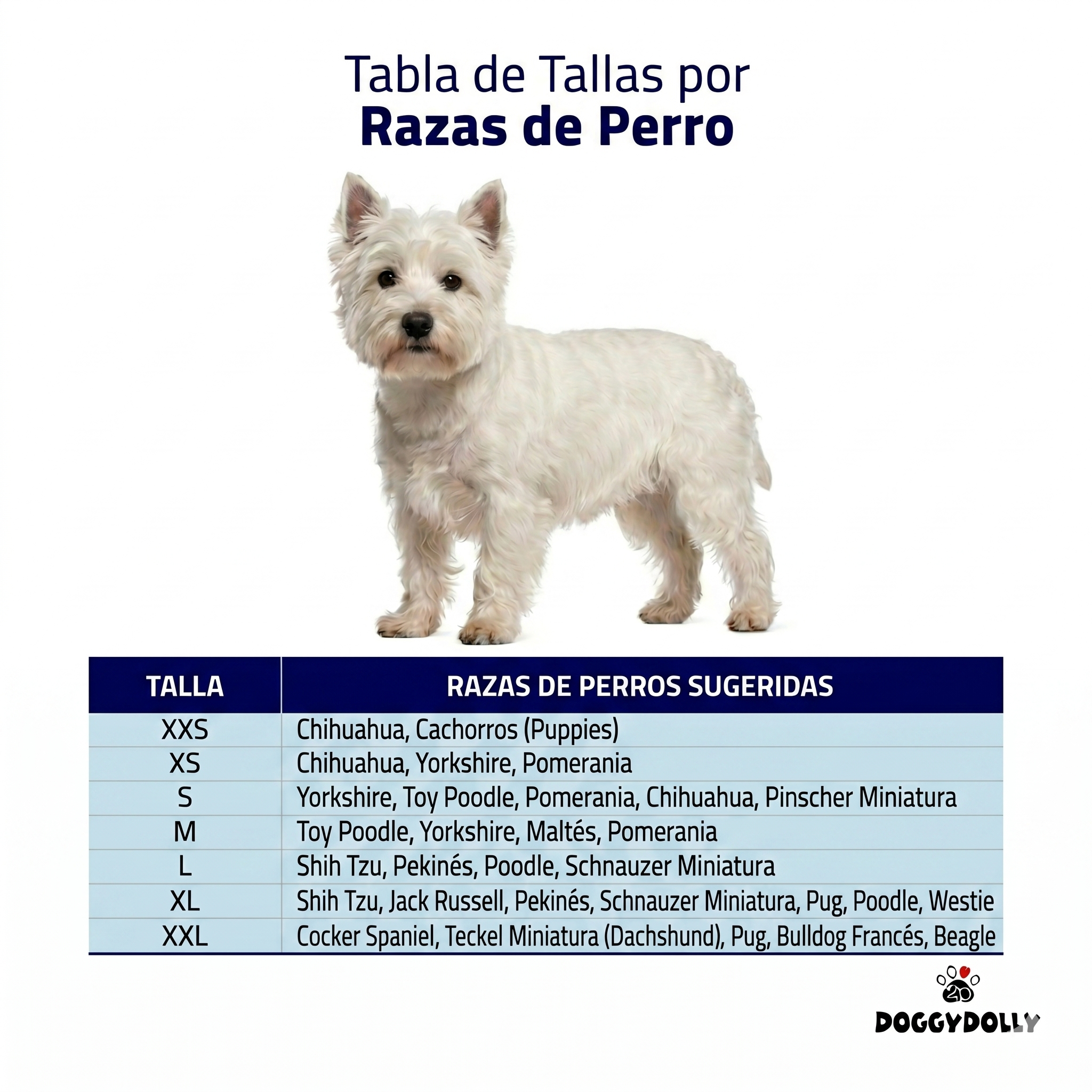 PARKA IMPERMEABLE BEIGE Y NEGRA RAZAS PEQUEÑAS - S-2