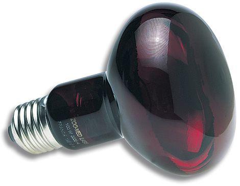 AMPOLLETA INFRARROJA 100W-0