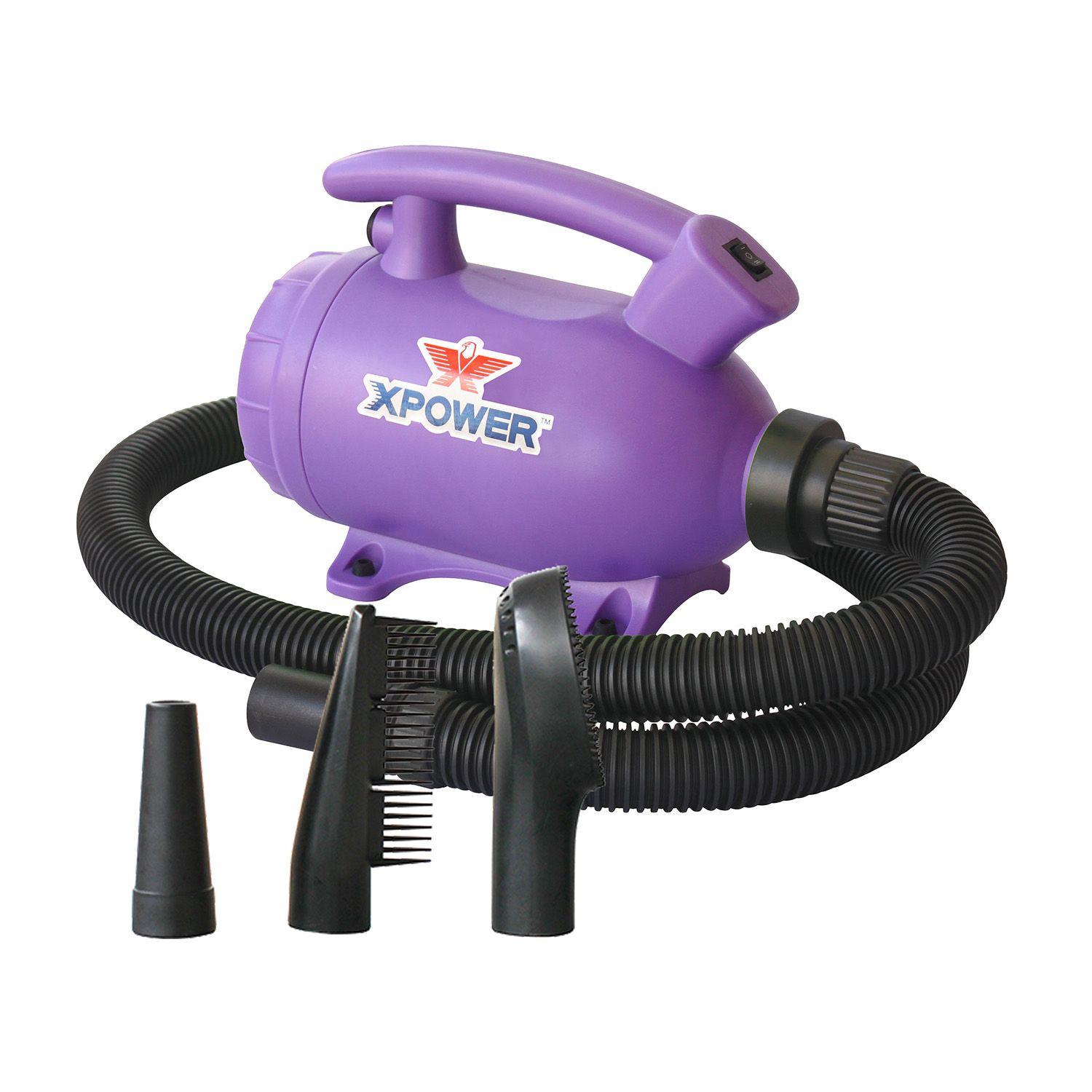 SECADOR MASCOTAS HOME MORADO-0