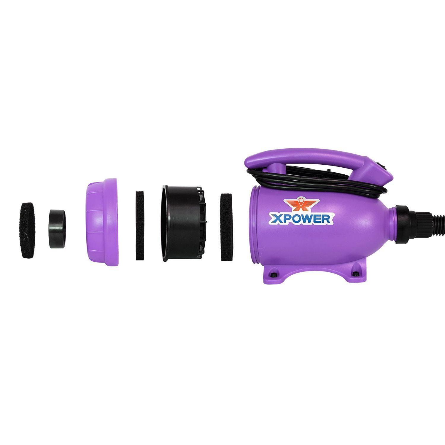 SECADOR MASCOTAS HOME MORADO-1