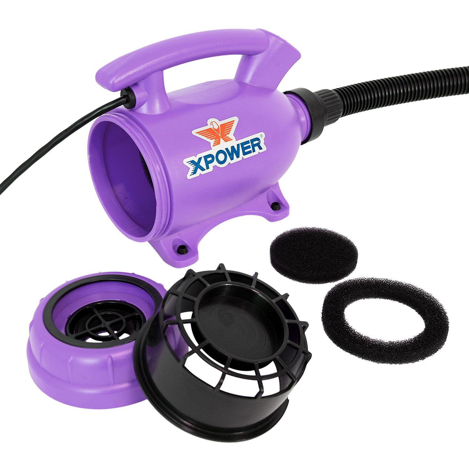 SECADOR MASCOTAS HOME MORADO-2
