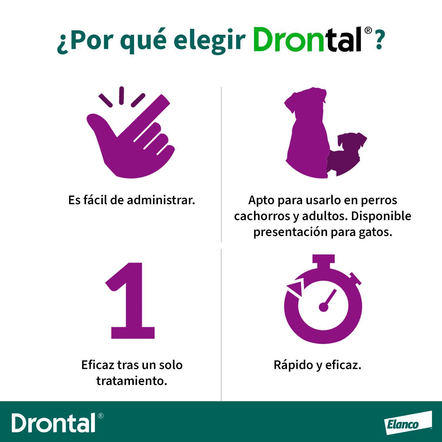 Anti-parasitario Gato Drontal 4kg X2-2
