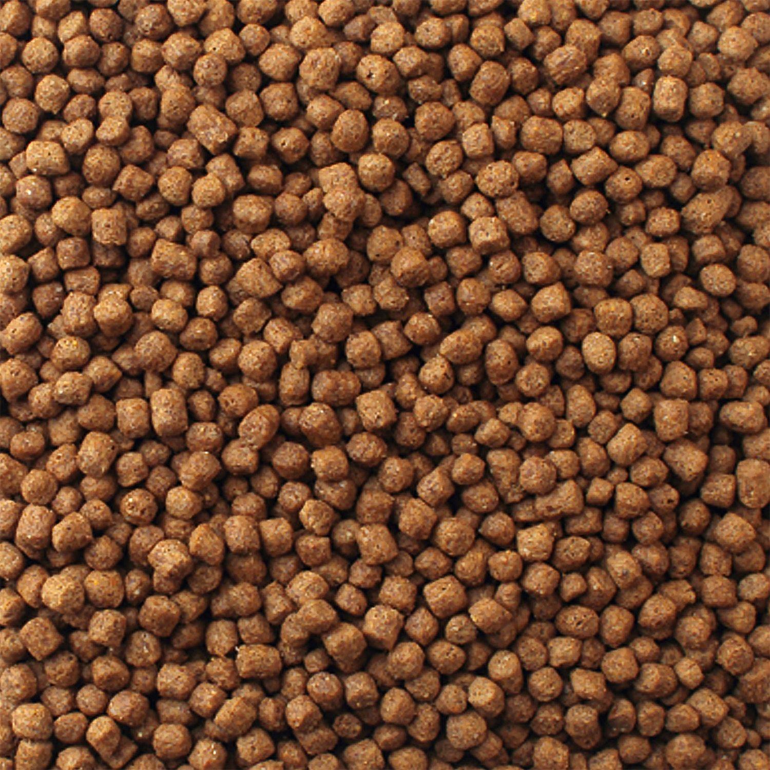 Mazuri Alimento Tortuga Acuatica 340 gr-2