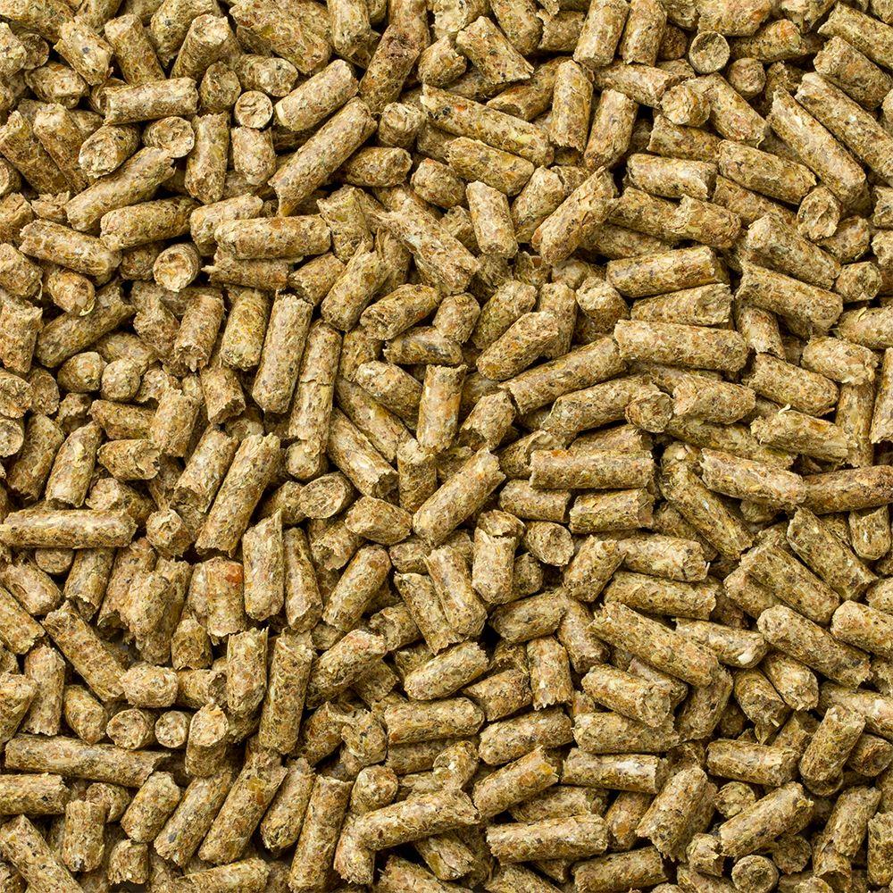 Mazuri Alimento Cobayo Guinea Timothy Diet 1Kg-2