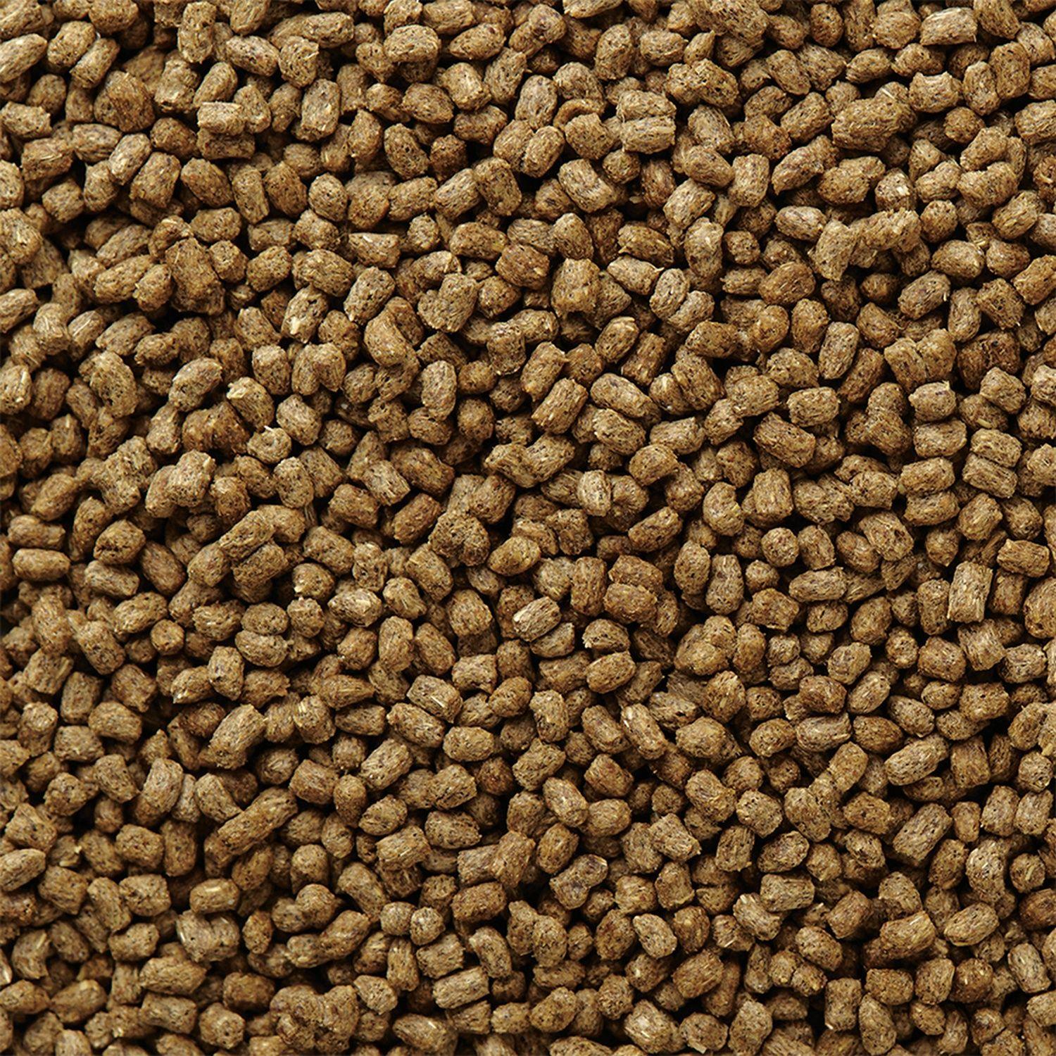 Mazuri Alimento Erizo de Tierra Diet 500 gr Pack X2-3