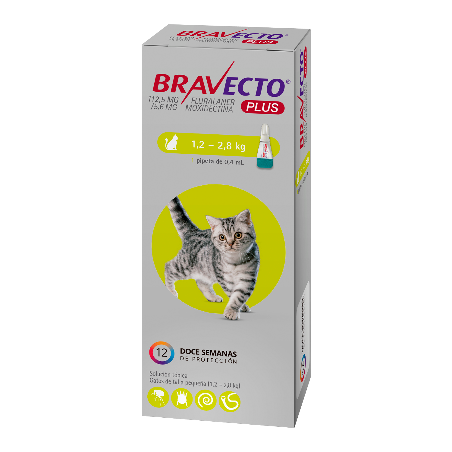 Bravecto Gatos Plus 112,5 MG (1,2-2,8 KG)-2