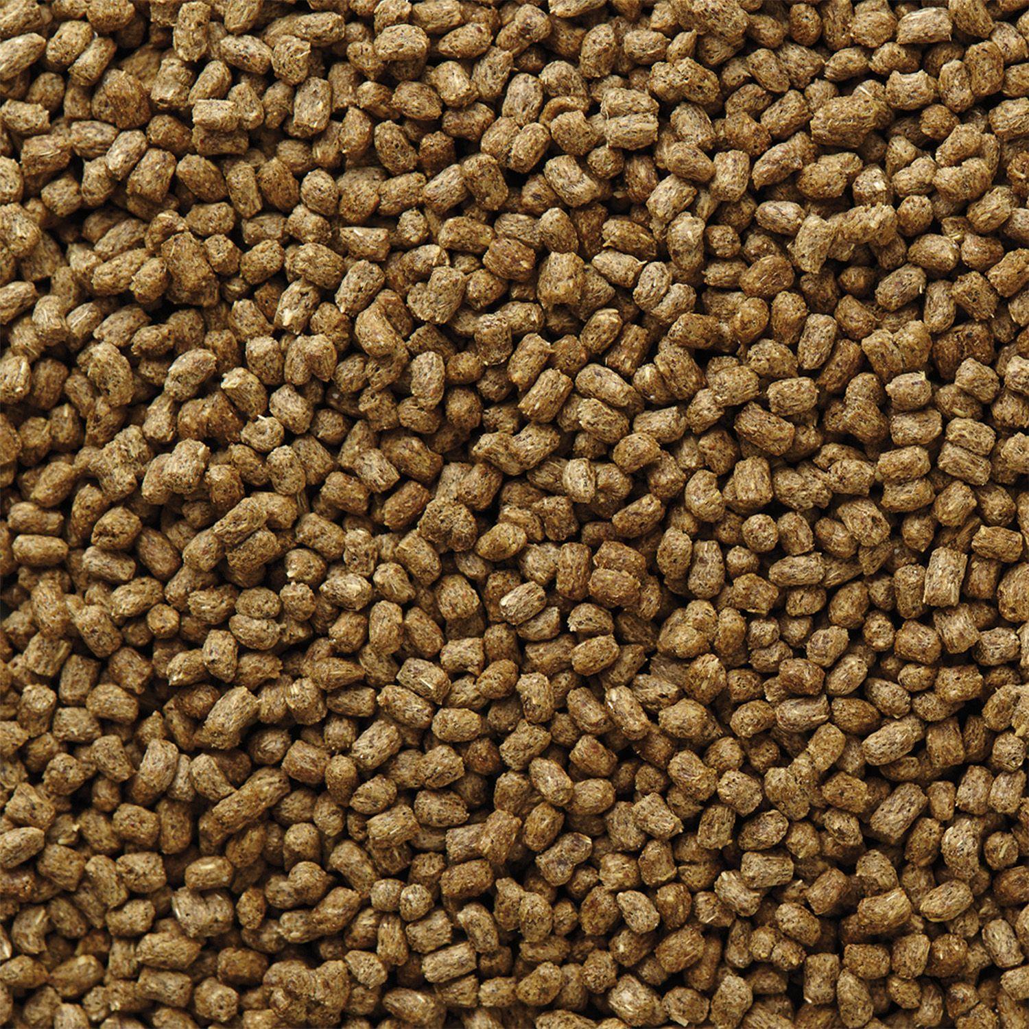 Mazuri Alimento Iguana 200 gr-2