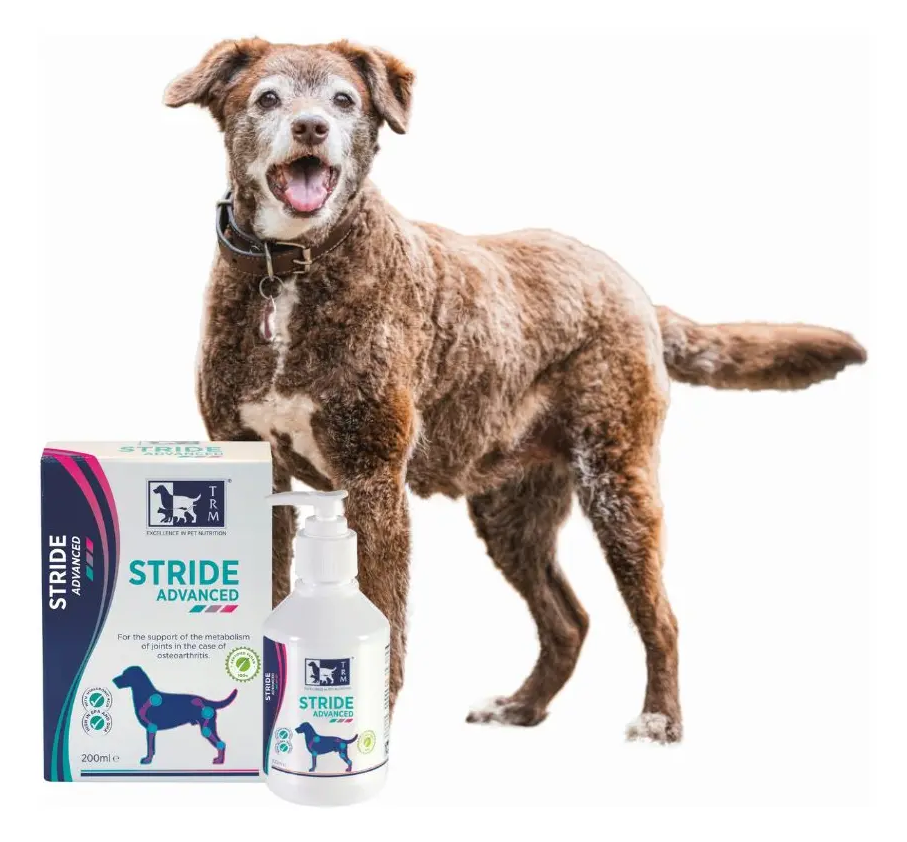 STRIDE ADVANCED 200 ML-2