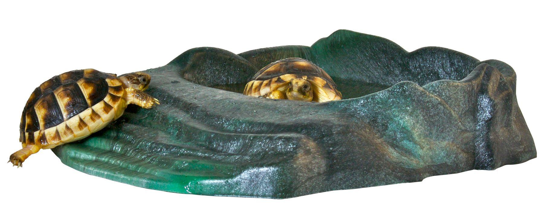 PLATO PARA REPTIL REPTI RAMP-2