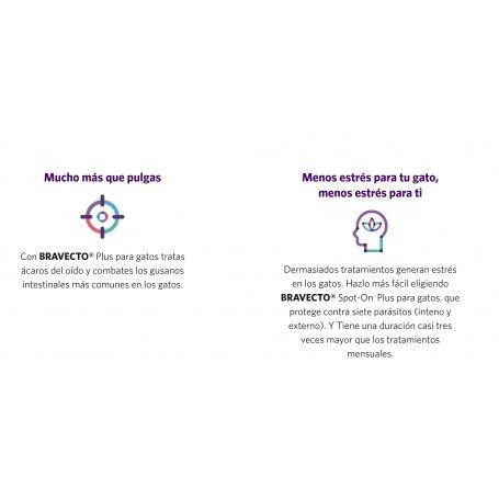 Bravecto Gatos Plus 250 MG (2,8-6,25 KG)-2