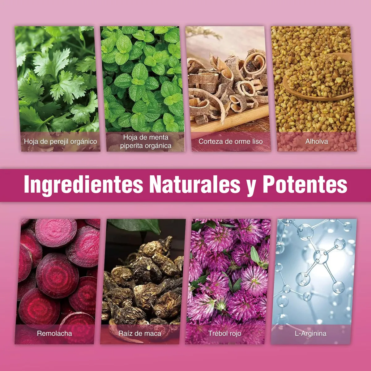 Gomitas Femenino Feromonas 60 Piezas Fresa-5