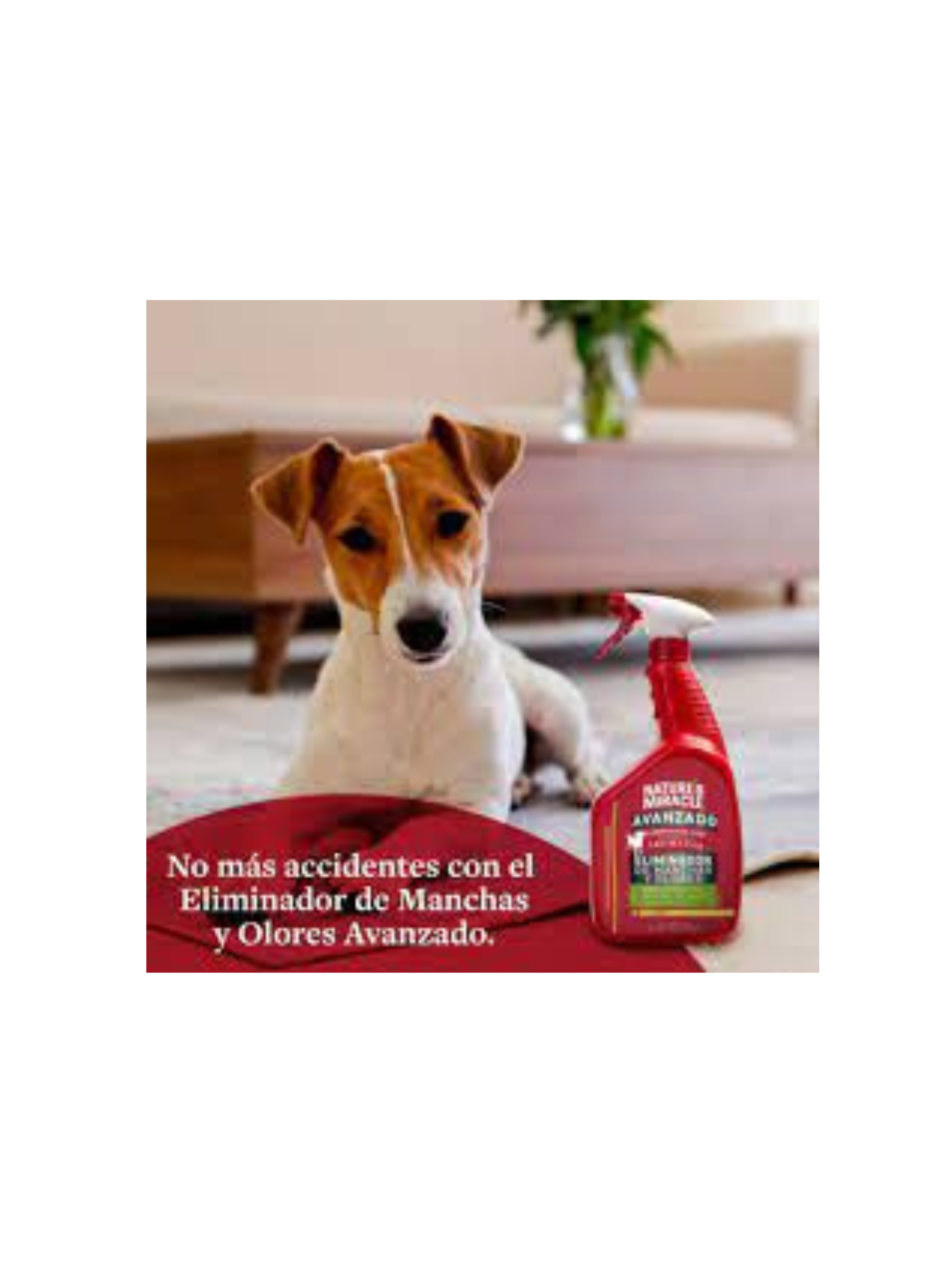Eliminador de Manchas y Olores Advanced Perro Natures Miracle-1
