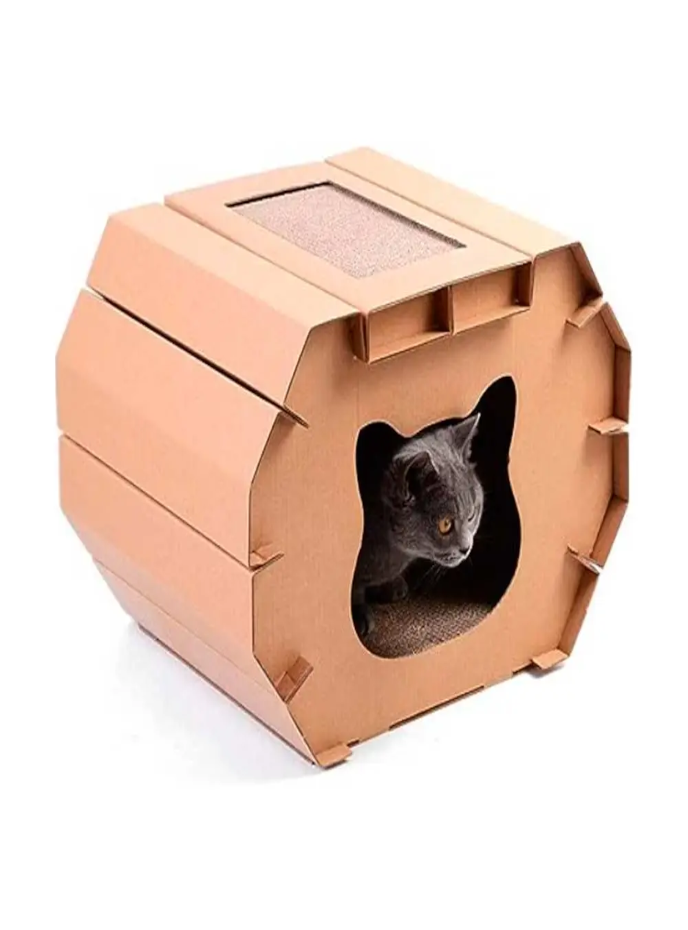 RASCADOR CASA 2 EN 1 CARTON PAWISE PARA GATO-0